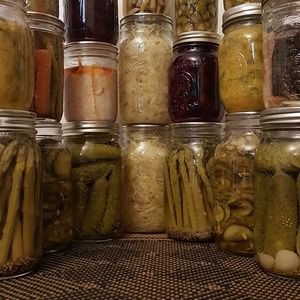 Meet your Posher, Pickles